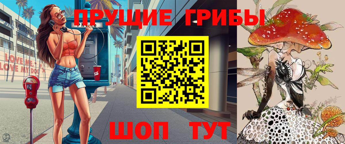 Галлюциногенные грибы MAGIC MUSHROOMS  Вход с VPN  Шадринск 