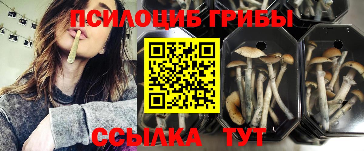Псилоцибиновые грибы мухоморы Шадринск
